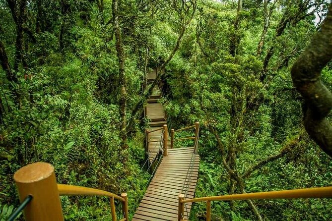 Cameron Highlands Full-Day Tour from Ipoh with Lunch - Key Highlights Worth Marking on Your Map