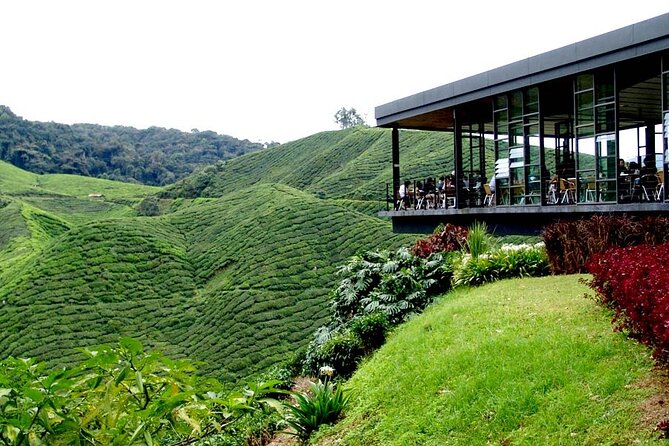 Cameron Highlands Full-Day Tour from Ipoh with Lunch - Sam Poh Temple: A Short Climb With Big View Potential