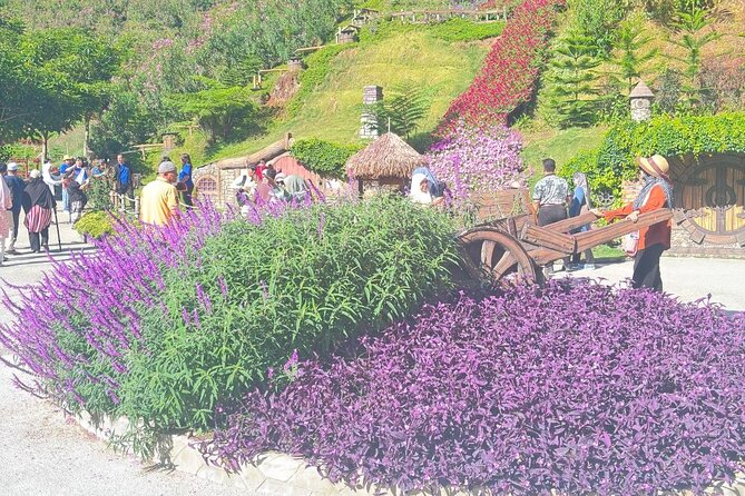 Cameron Highlands Full-Day Tour from Ipoh with Lunch - Timing, Traffic, and the Real-World Schedule You Should Expect