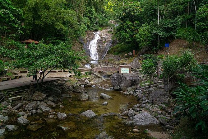 Cameron Highlands One Day Trip from Kuala Lumpur Privately Organised - Key highlights you will actually feel during the day