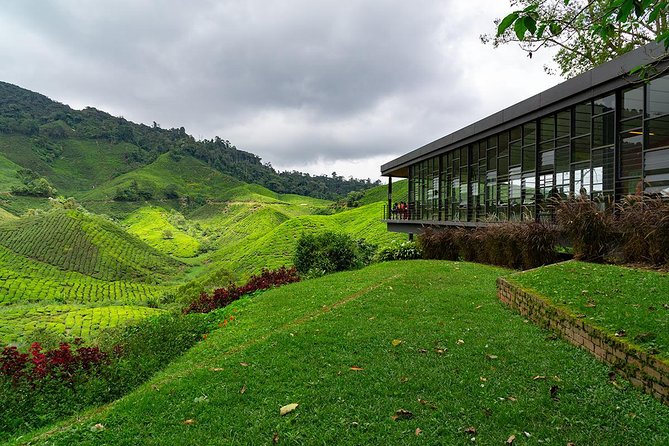 Cameron Highlands One Day Trip from Kuala Lumpur Privately Organised - Getting to the Cameron Highlands from Kuala Lumpur, without the headache