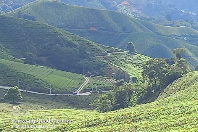 Cameron Highlands Private Day Tour from Ipoh, Package B - Key highlights worth planning around