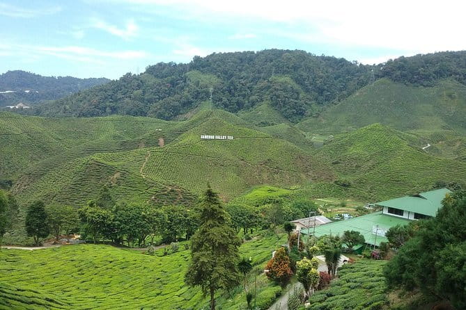 Cameron Highlands Sightseing Tour - Key things to know before you go