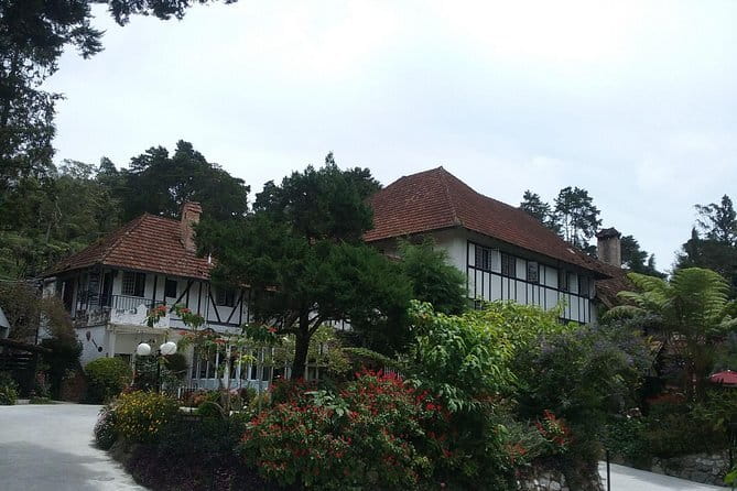 Cameron Highlands Sightseing Tour - The market and temple breaks: good for culture, not just scenery