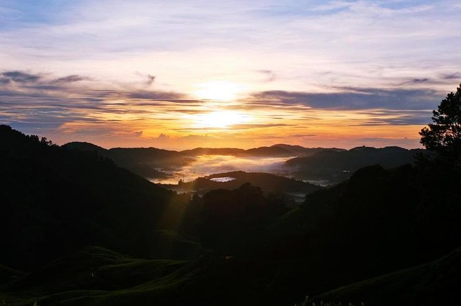 Cameron Highlands Sunrise Discovery - Gunung Brinchang at dawn: the real reason this tour works