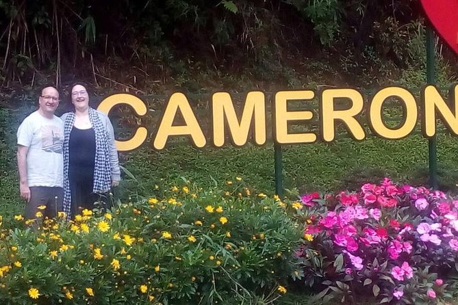 Cameron Highlands Sunrise Discovery - Sunrise at Mount Brinchang: views, mist, and a watch tower