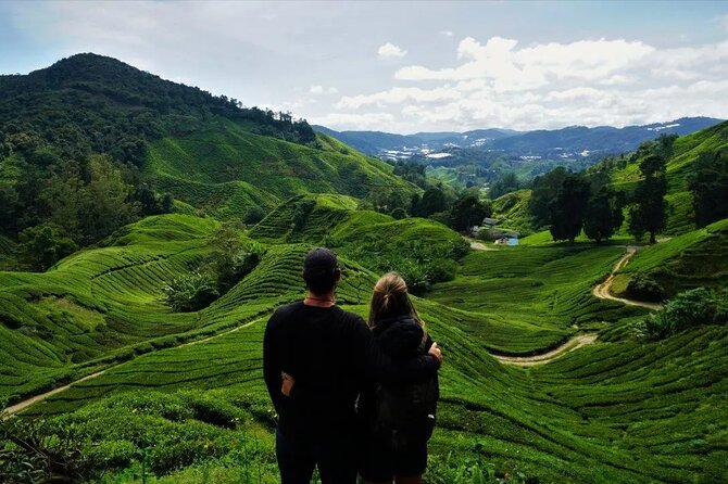 Cameron Highlands Tour from Kuala Lumpur - Cameron Highlands in One Day, the 10 to 12 Hour Reality