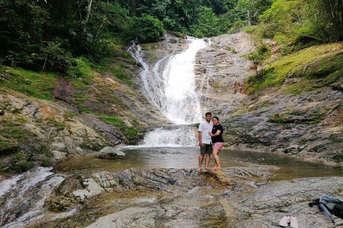 Cameron Highlands Tour from Kuala Lumpur - Butterfly Garden and Insects, a quick stop that works for families
