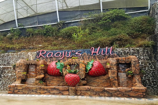 Cameron Highlands Tour From Kuala Lumpur (Private Tour) - From Kuala Lumpur to the Cool Hill Air: the point of going private