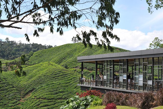 Cameron Highlands Tour From Kuala Lumpur (Private Tour) - Lata Iskandar and Ringlet: the waterfall moment and the local farming hub