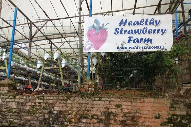 Cameron Highlands Tour From Kuala Lumpur (Private Tour) - Bee farms near Ringlet and Tringkap: the honey stops that most people skip