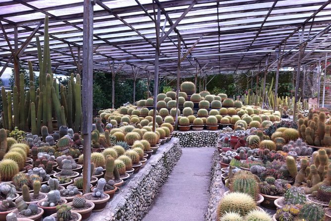 Cameron Highlands Tour From Kuala Lumpur (Private Tour) - Golfers’ Cafe lunch and the return to Kuala Lumpur