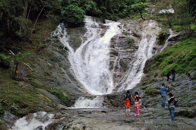 Cameron Highlands Tour on Private Basis - Butterfly and insect garden plus the Lata Iskandar waterfall photo break