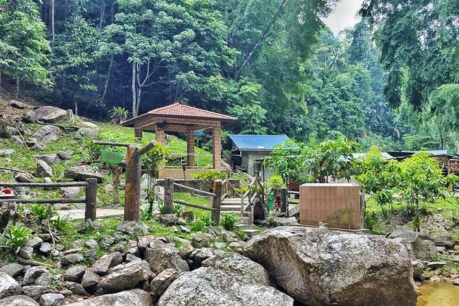 Cameron Highlands with Lunch Guided Day Tour (SIC/Shared Tour) - Price and Value: Is $83 Fair for What You Get?