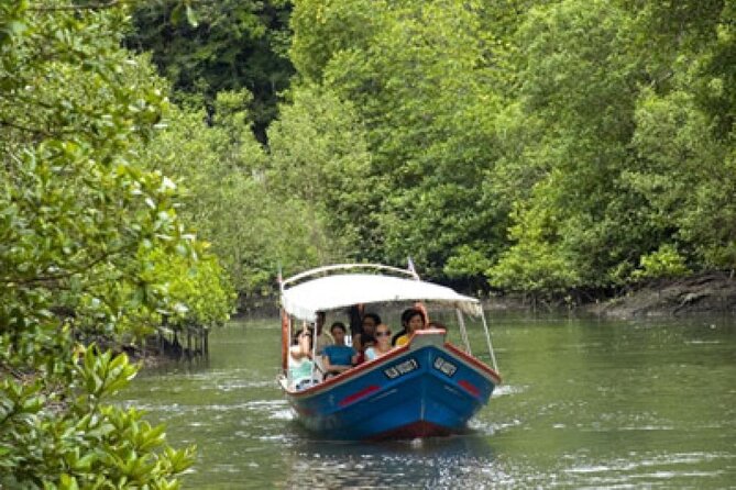 Combo - Cable Car & Sky Bridge And Tg. Rhu Mangrove Private Boat Tour With Lunch - Langkawi Skycab Cable Car: fast lane, glass floors, and Mt. Machinchang altitude