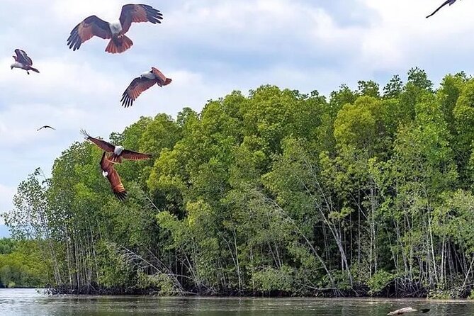 Combo - Cable Car & Sky Bridge And Tg. Rhu Mangrove Private Boat Tour With Lunch - Price and value: is $175 per person worth it?