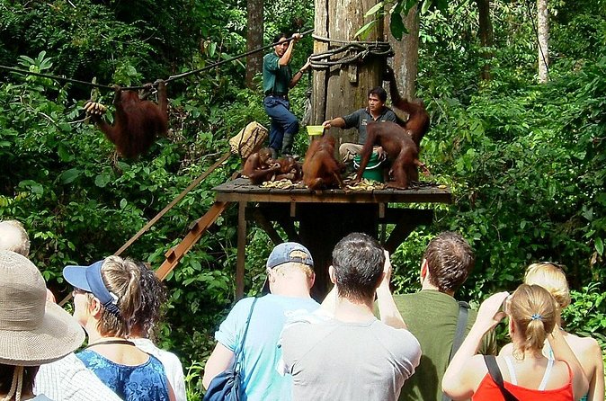 Day Trip Sepilok Orang-utan And City Tour (Flight Excluded) - Sandakan City after lunch: markets, memorial space, and short stops