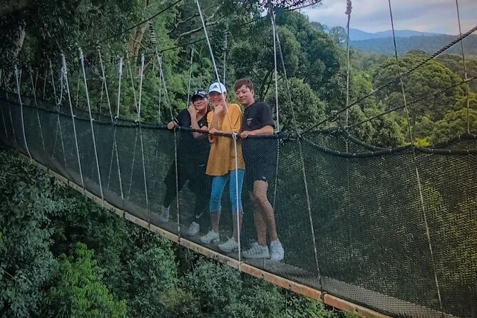 Day Trip to Kinabalu Park and Poring Hot Spring Guided Tour - Key highlights you’ll actually care about