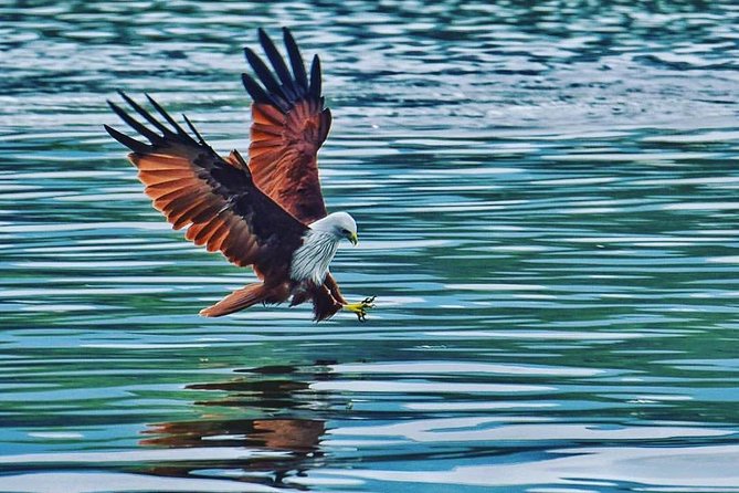 Discover Langkawi Like a local Include Mangrove Tours - A private Langkawi day built around beaches, mangroves, and batik
