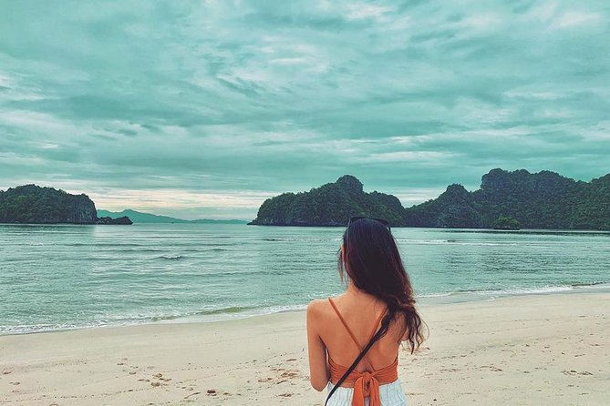 Discover Langkawi Like a local Include Mangrove Tours - Pickup, cruise-ship timing, and keeping the day on track