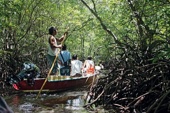 Discover Mangrove Forest and Cave Tour in Langkawi (Shared Tour) - Wildlife spotting: eagles, monkeys, and the weather reality check