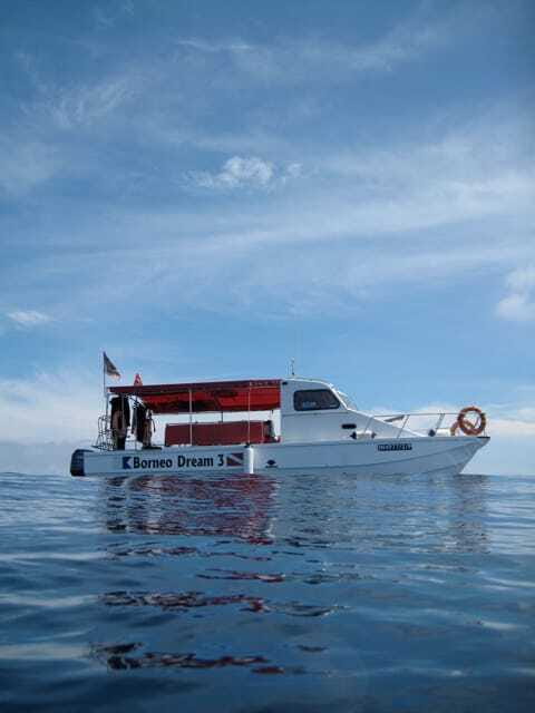Enjoy 3 Fun Dives in Kota Kinabalu | Certified Divers - Key points before you go