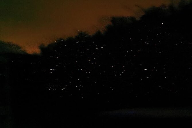 Fireflies & Silver leaf monkey Gazing tour - Kampung Kuantan Firefly Park: the boat ride and the twinkle window