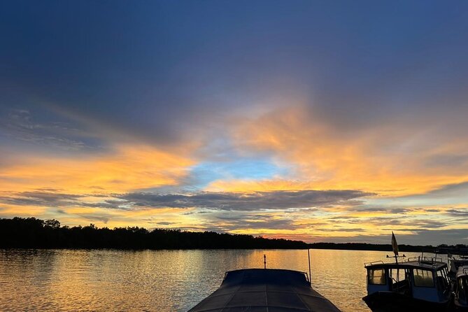 Fireflies & Silver leaf monkey Gazing tour - The Chinese dinner option near the water