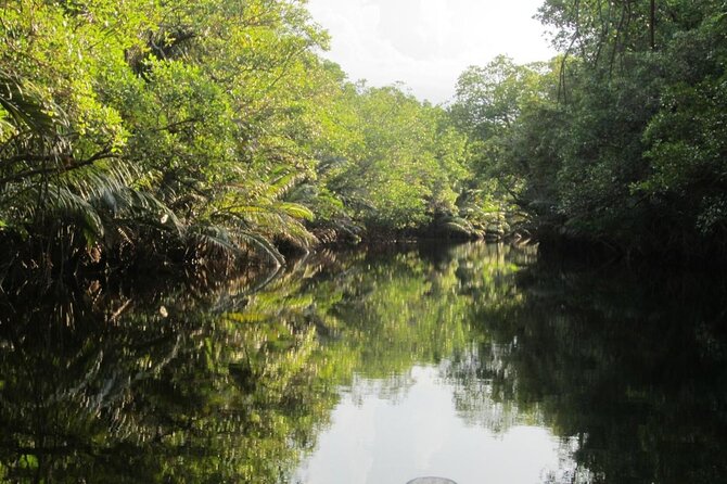 Fireflies Tour in Cherating - Key highlights you will actually care about