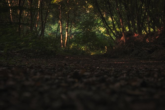 Fireflies Tour in Cherating - What to Bring So You Can Enjoy the Night Comfortably