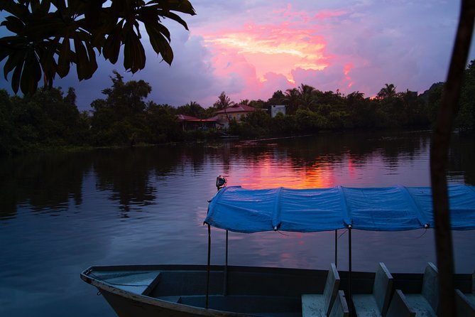 Fireflies Tour in Cherating - The Cherating River Cruise: What You Experience Minute by Minute