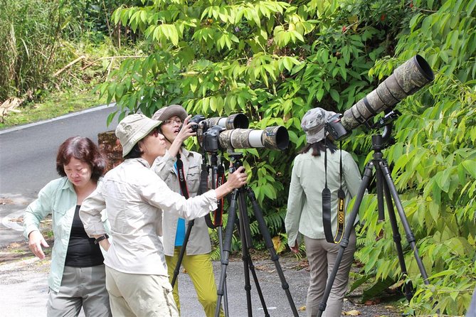 Fraser's Hill Bird-Watching & Nature Sightseeing Tour from Kuala Lumpur - What’s included on the ground, and what you should pack