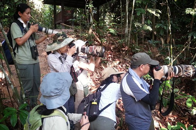 Fraser's Hill Bird-Watching & Nature Sightseeing Tour from Kuala Lumpur - Price and value: what $167.64 covers, and why it may be worth it