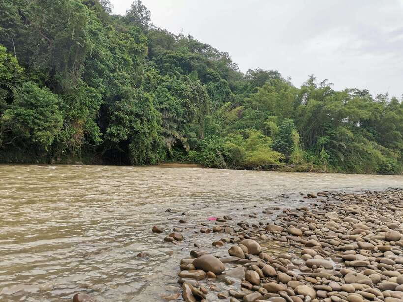 From Kota Kinabalu : Kiulu White Water Rafting Tour + meal - Safety style: what the briefing is really for