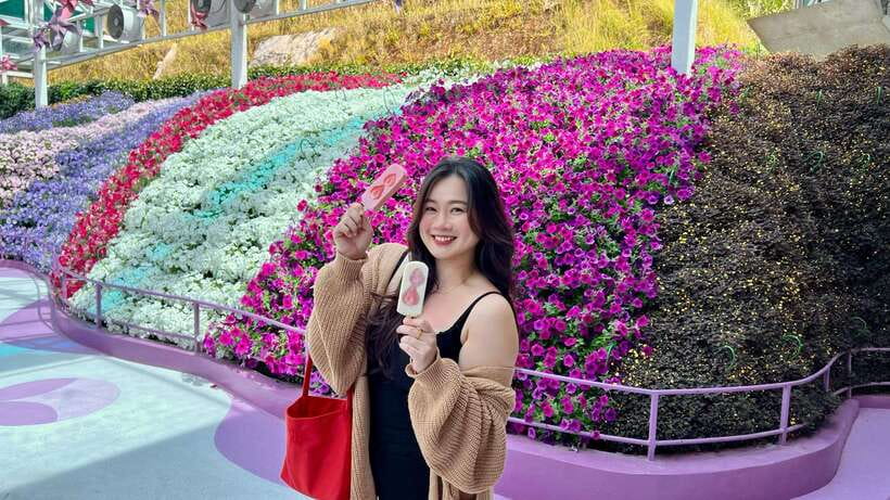 From Kuala Lumpur: Cameron Highlands Day Tour with Lunch - Which kind of traveler this day trip fits best