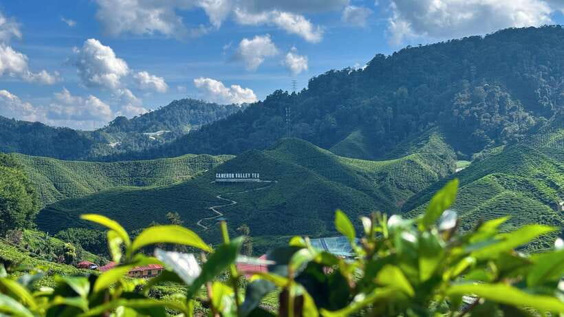 From Kuala Lumpur: Cameron Highlands Day Tour with Lunch - Cameron Highlands first stop: Ladang Soon Cheong and how to use the farm time