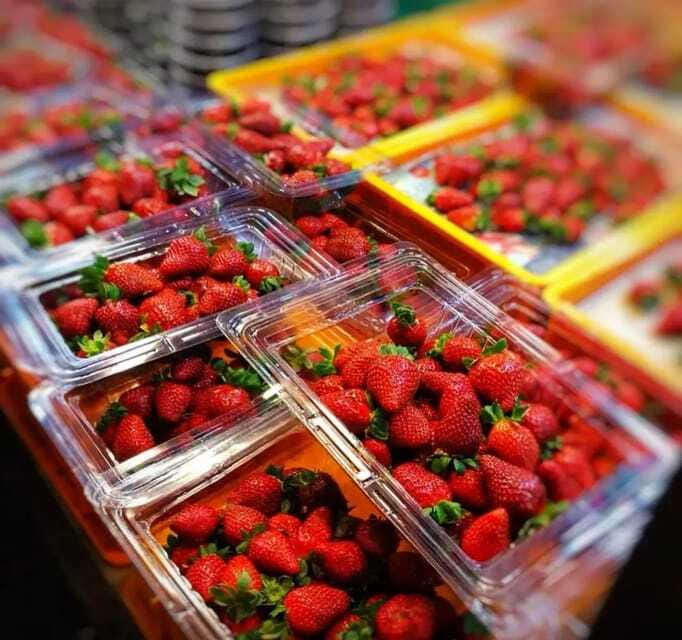 From Kuala Lumpur: Cameron Highlands Day Trip with Transfers - Key highlights at a glance