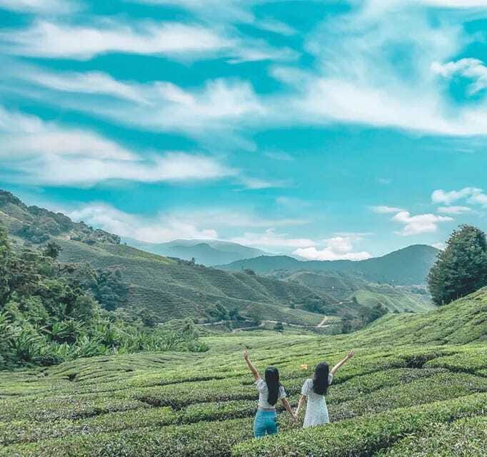 From Kuala Lumpur: Cameron Highlands Day Trip with Transfers - Orang Asli Aboriginal Village and the blowpipe demonstration