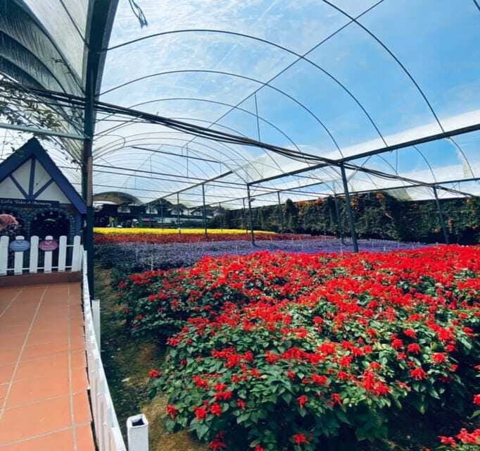 From Kuala Lumpur: Cameron Highlands Day Trip with Transfers - Cactus garden finale, buy a plant and end on a smile