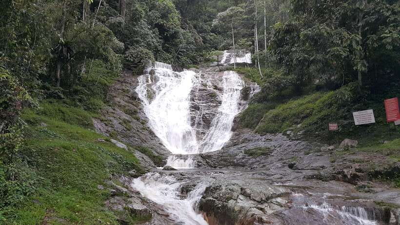 From Kuala Lumpur: Cameron Highlands Full-Day Tour - Bharat Tea Farm: Tea Fields, Picking, Processing, and a Proper Sip