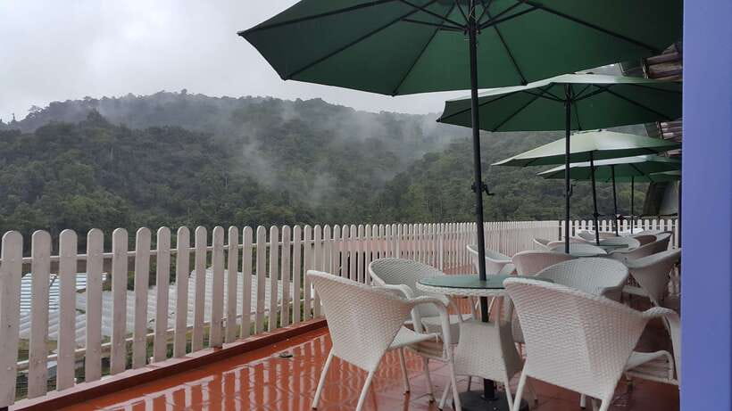 From Kuala Lumpur: Cameron Highlands Full-Day Tour - Lata Iskandar Waterfall: A Short Nature Stop With Big Rewards
