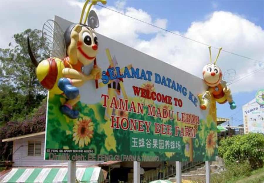 From Kuala Lumpur: Cameron Highlands Private or Join In Tour - Kea Farm: a quick local-products moment