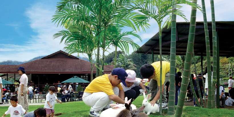 From Kuala Lumpur: Colmar Tropicale and Batu Caves Day Trip - Who This Day Trip Suits Best