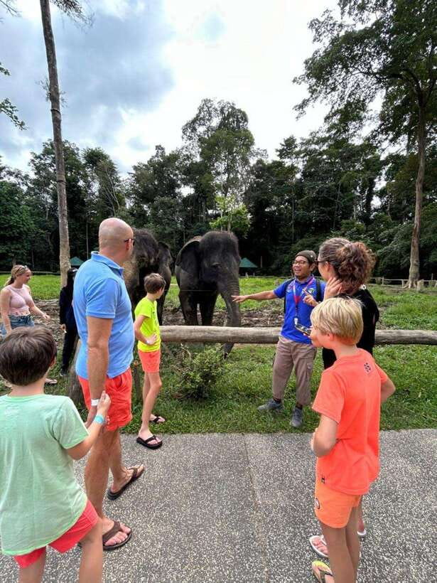 From Kuala Lumpur: Elephant Sanctuary Guided Tour - Why This Trip Works So Well From Kuala Lumpur