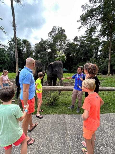 From Kuala Lumpur: Elephant Sanctuary Guided Tour - Waterfalls and swimming in Pahang: what the water time actually means