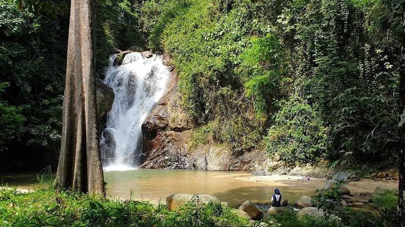 From Kuala Lumpur: Elephant Sanctuary Guided Tour - Price and value: is $150 per person worth it?