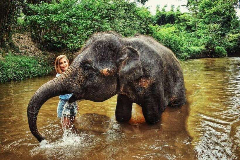 From Kuala Lumpur: Elephant Sanctuary Guided Tour - Kuala Gandah Elephant Sanctuary: feeding, play, and conservation learning