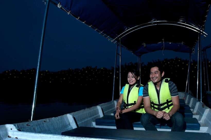 From Kuala Lumpur: Fireflies Tour and Seafood Dinner - Monkey Encounters and Local Wildlife: How to Make It Fun, Not Chaotic
