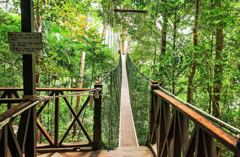 From Kuala Lumpur: Full-Day Taman Negara National Park - The Early 6:00 Pickup and the Long Drive Through Malaysia