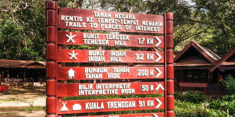From Kuala Lumpur: Full-Day Taman Negara National Park - Jungle Trekking Reality: Wet Feet, Many Steps, and Wildlife That Might Show Up